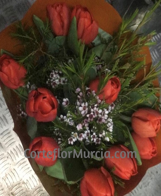 Bouquet de 10 Tulipanes - Floristería Corteflor